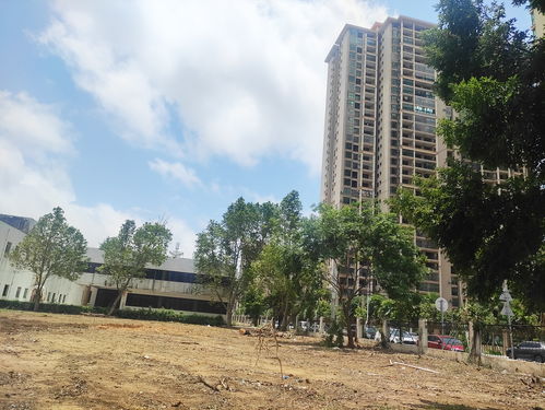 北海市中心北海大道旁這個老工廠開始拆了,準(zhǔn)備搞房地產(chǎn)項目